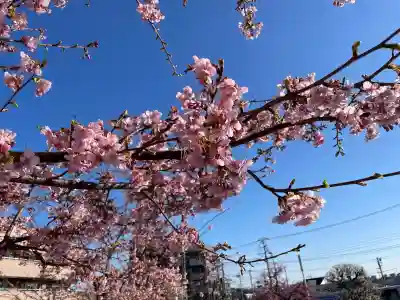 菅原神社の{uncategorized: "未分類", other: "その他", undefined: "問題あり", building: "その他建物", grave: "お墓", sacred_gate: "鳥居", guardian: "狛犬", statue: "像", buddha: "仏像", history: "歴史", nature: "自然", garden: "庭園", animal: "動物", pagoda: "塔", temizu: "手水舎", mountain_gate: "山門・神門", sanctuary: "本殿・本堂", subordinate: "末社・摂社", art: "芸術", scenery: "景色", jizo: "地蔵", ema: "絵馬", goshuin: "御朱印", omikuji: "おみくじ", items: "授与品その他", amulet: "お守り", goshuincho: "御朱印帳", eats: "食事", festival: "お祭り", votive_dance: "神楽", shichigosan: "七五三参", wedding: "結婚式", experience: "体験その他", initially: "初詣", around: "周辺", anti_infection: "感染症対策"}