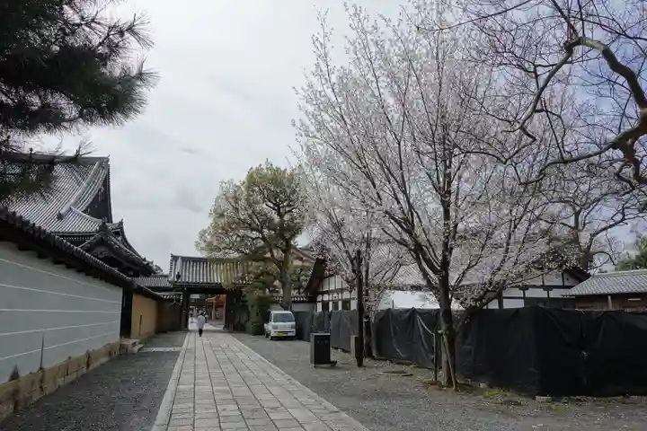 知恩院(京都府)