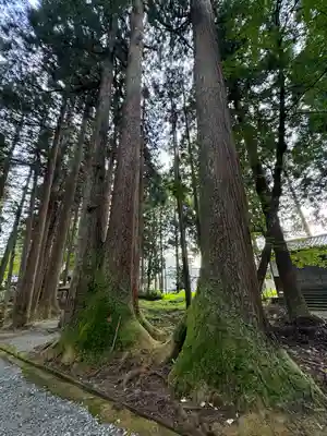 雄山神社中宮祈願殿(富山県)