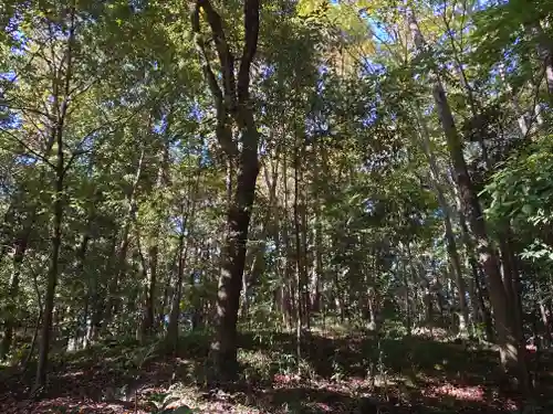 秩父神社の自然