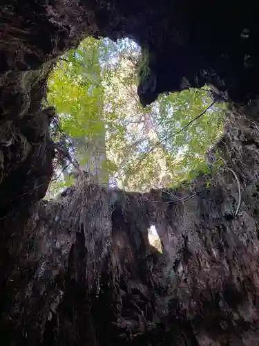木魂神社(鹿児島県)