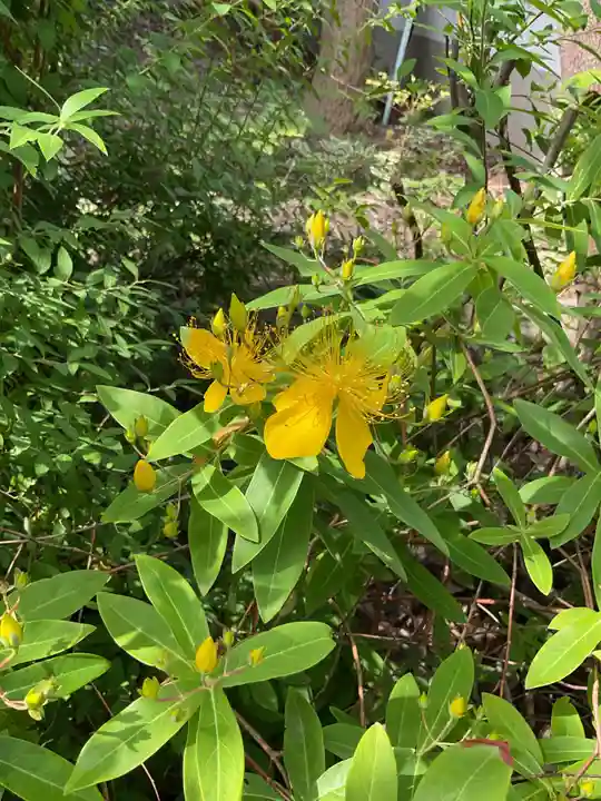 光照寺(愛知県)