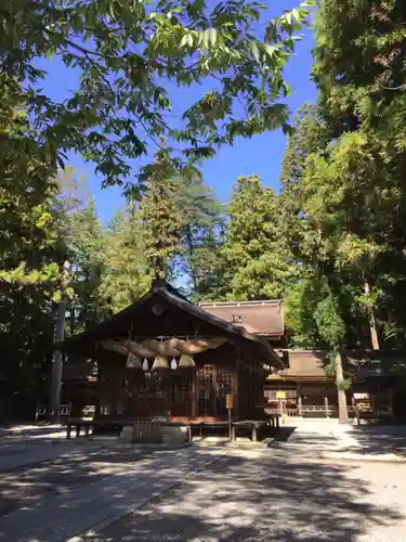 諏訪大社下社春宮の本殿・本堂