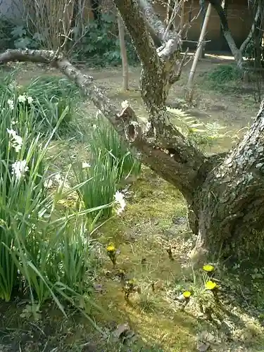 宝戒寺の庭園