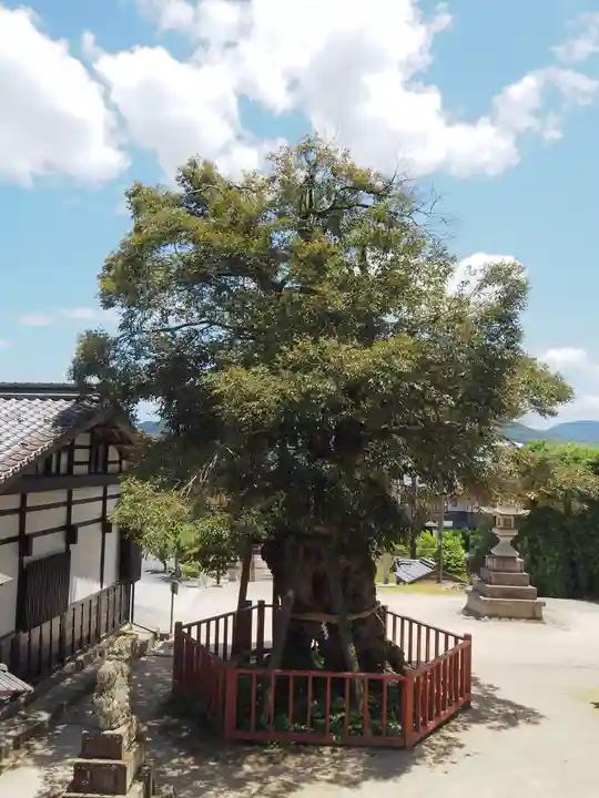 山王宮日吉神社(京都府)