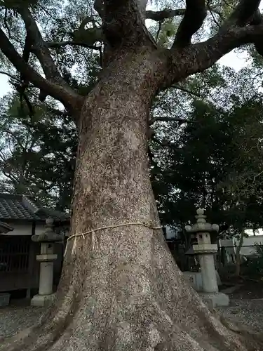 伊久比売神社(和歌山県)