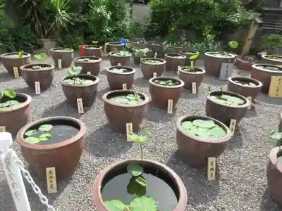 大蓮寺のその他建物