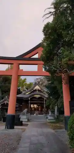 日枝神社の鳥居