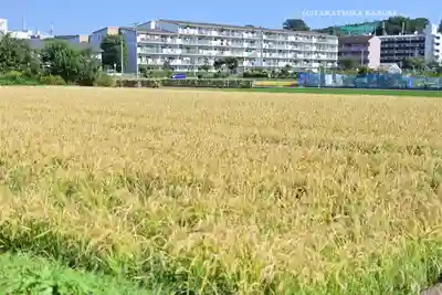 鈴鹿明神社(神奈川県)