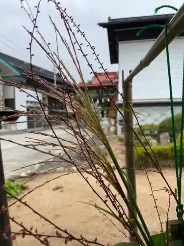 大鏑神社の自然