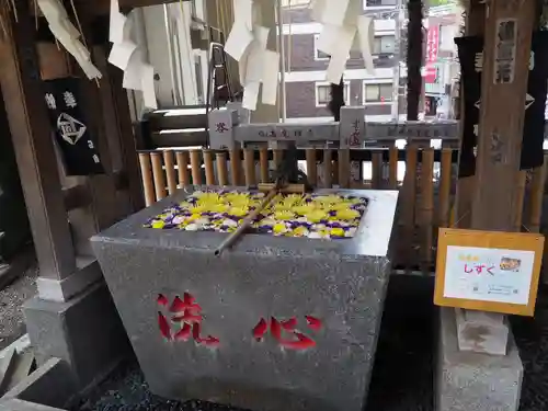 高円寺氷川神社の手水