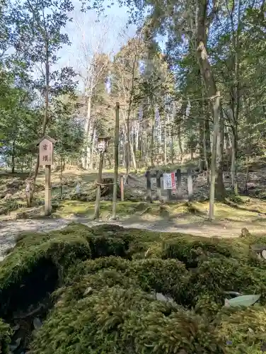 出雲大神宮の{uncategorized: "未分類", other: "その他", undefined: "問題あり", building: "その他建物", grave: "お墓", sacred_gate: "鳥居", guardian: "狛犬", statue: "像", buddha: "仏像", history: "歴史", nature: "自然", garden: "庭園", animal: "動物", pagoda: "塔", temizu: "手水舎", mountain_gate: "山門・神門", sanctuary: "本殿・本堂", subordinate: "末社・摂社", art: "芸術", scenery: "景色", jizo: "地蔵", ema: "絵馬", goshuin: "御朱印", omikuji: "おみくじ", items: "授与品その他", amulet: "お守り", goshuincho: "御朱印帳", eats: "食事", festival: "お祭り", votive_dance: "神楽", shichigosan: "七五三参", wedding: "結婚式", experience: "体験その他", initially: "初詣", around: "周辺", anti_infection: "感染症対策"}