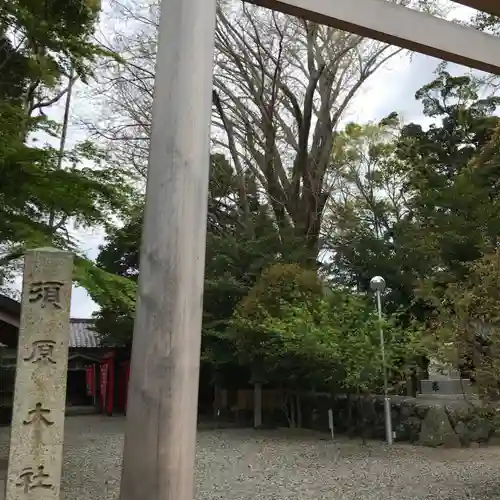 須原大社の鳥居