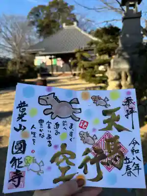 圓能寺の御朱印