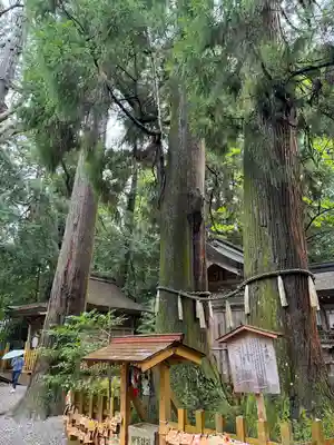 高千穂神社(宮崎県)