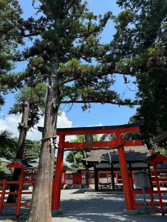 吉田神社(京都府)