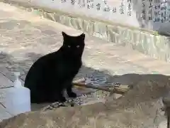 王子神社の動物