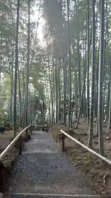 高台寺（高台寿聖禅寺・高臺寺）(京都府)