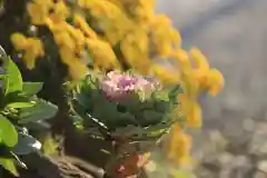 豊景神社の自然