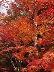 鳳来寺の自然