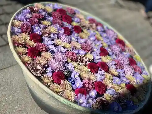 行田八幡神社の手水舎