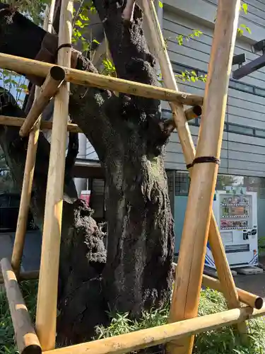 日枝神社(東京都)