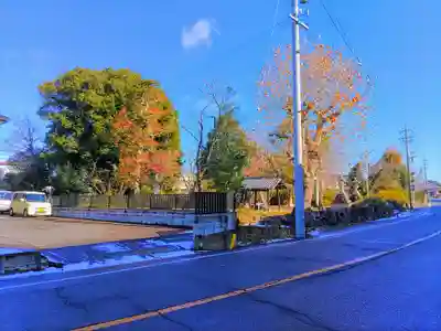 八劔神社の自然