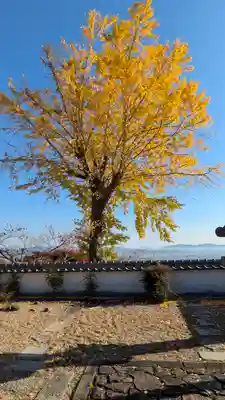 三鈷寺(京都府)