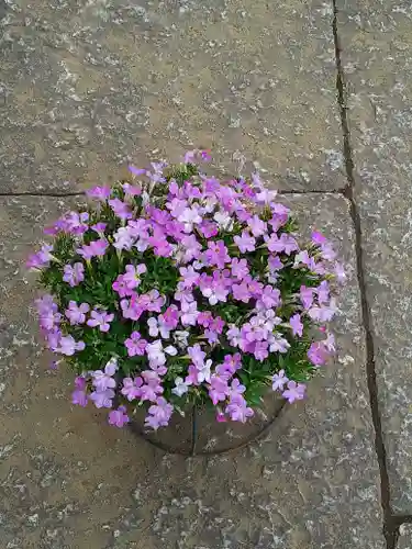 伏木香取神社(茨城県)