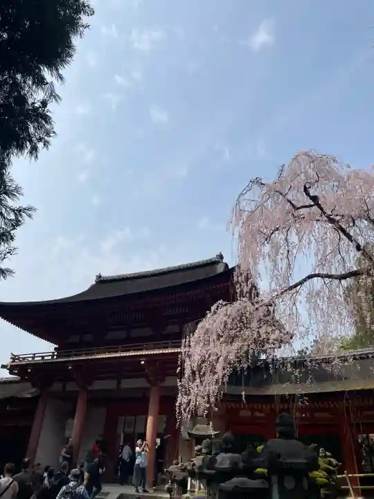 春日大社の{uncategorized: "未分類", other: "その他", undefined: "問題あり", building: "その他建物", grave: "お墓", sacred_gate: "鳥居", guardian: "狛犬", statue: "像", buddha: "仏像", history: "歴史", nature: "自然", garden: "庭園", animal: "動物", pagoda: "塔", temizu: "手水舎", mountain_gate: "山門・神門", sanctuary: "本殿・本堂", subordinate: "末社・摂社", art: "芸術", scenery: "景色", jizo: "地蔵", ema: "絵馬", goshuin: "御朱印", omikuji: "おみくじ", items: "授与品その他", amulet: "お守り", goshuincho: "御朱印帳", eats: "食事", festival: "お祭り", votive_dance: "神楽", shichigosan: "七五三参", wedding: "結婚式", experience: "体験その他", initially: "初詣", around: "周辺", anti_infection: "感染症対策"}