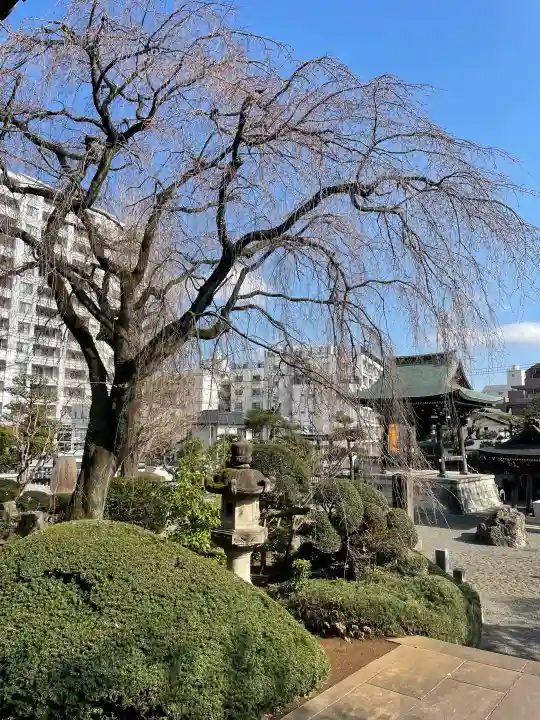 青柳寺の{uncategorized: "未分類", other: "その他", undefined: "問題あり", building: "その他建物", grave: "お墓", sacred_gate: "鳥居", guardian: "狛犬", statue: "像", buddha: "仏像", history: "歴史", nature: "自然", garden: "庭園", animal: "動物", pagoda: "塔", temizu: "手水舎", mountain_gate: "山門・神門", sanctuary: "本殿・本堂", subordinate: "末社・摂社", art: "芸術", scenery: "景色", jizo: "地蔵", ema: "絵馬", goshuin: "御朱印", omikuji: "おみくじ", items: "授与品その他", amulet: "お守り", goshuincho: "御朱印帳", eats: "食事", festival: "お祭り", votive_dance: "神楽", shichigosan: "七五三参", wedding: "結婚式", experience: "体験その他", initially: "初詣", around: "周辺", anti_infection: "感染症対策"}