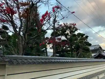 八正寺のその他建物