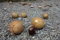 早馬神社の自然