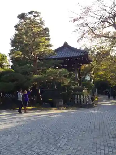 豪徳寺のその他建物