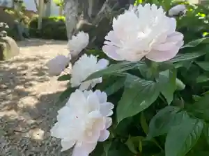 美奈宜神社(福岡県)(2024年04月27日(土) 11時08分22秒投稿)