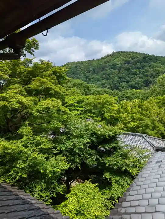 光明寺瑠璃光院(京都府)