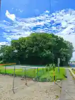 月之宮神社の自然