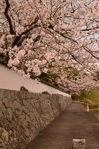 久妙寺(愛媛県)
