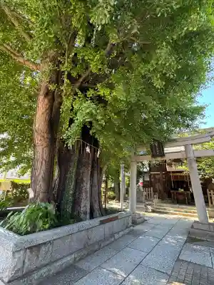 飛木稲荷神社(東京都)