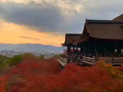清水寺の本殿・本堂