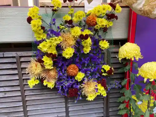 菊名神社の自然