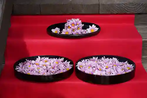 阿邪訶根神社の手水舎