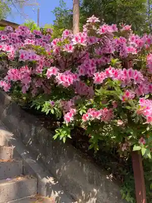 住吉神社(東京都)