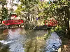 富岡八幡宮の庭園