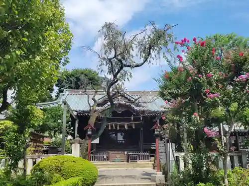白山神社の本殿・本堂