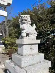 立川熊野神社の狛犬