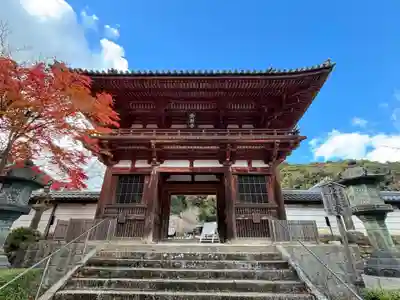金剛寺(大阪府)