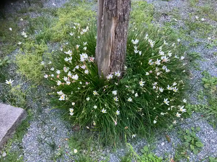山蒼稲荷神社(神奈川県)