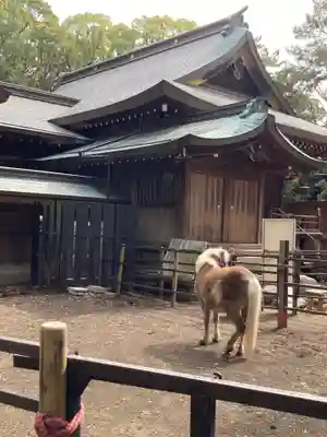 平塚八幡宮(神奈川県)