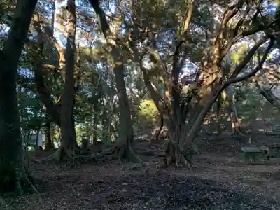 建市神社奥の院の自然